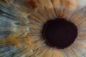 Picture Of Human Eye
